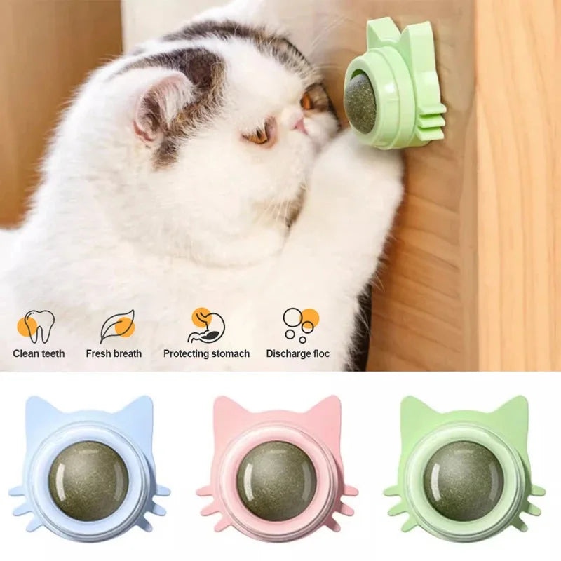 Catnip Lollipop Treat for Dental Care and Fresh Breath