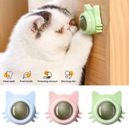 Catnip Lollipop Treat for Dental Care and Fresh Breath