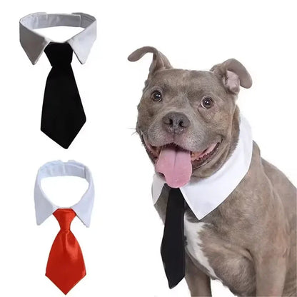 Formal Bow Tie Collar for Dogs and Cats - Wedding & Party Accessory
