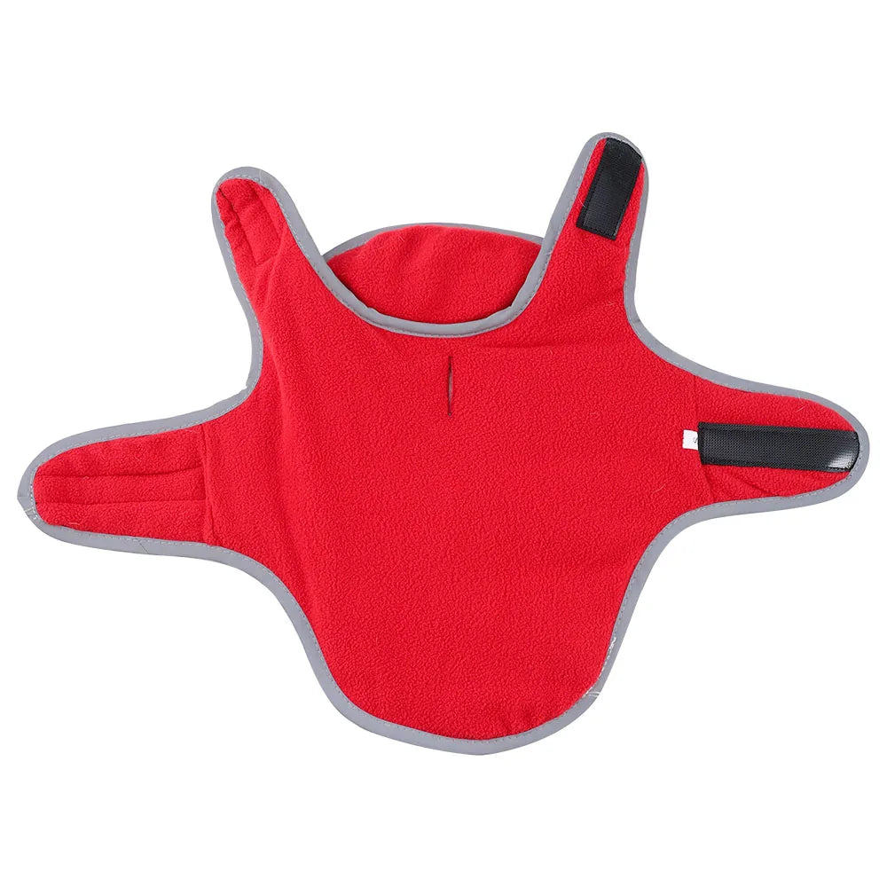 Reversible Waterproof Cat Jacket with Leash Hole for Winter