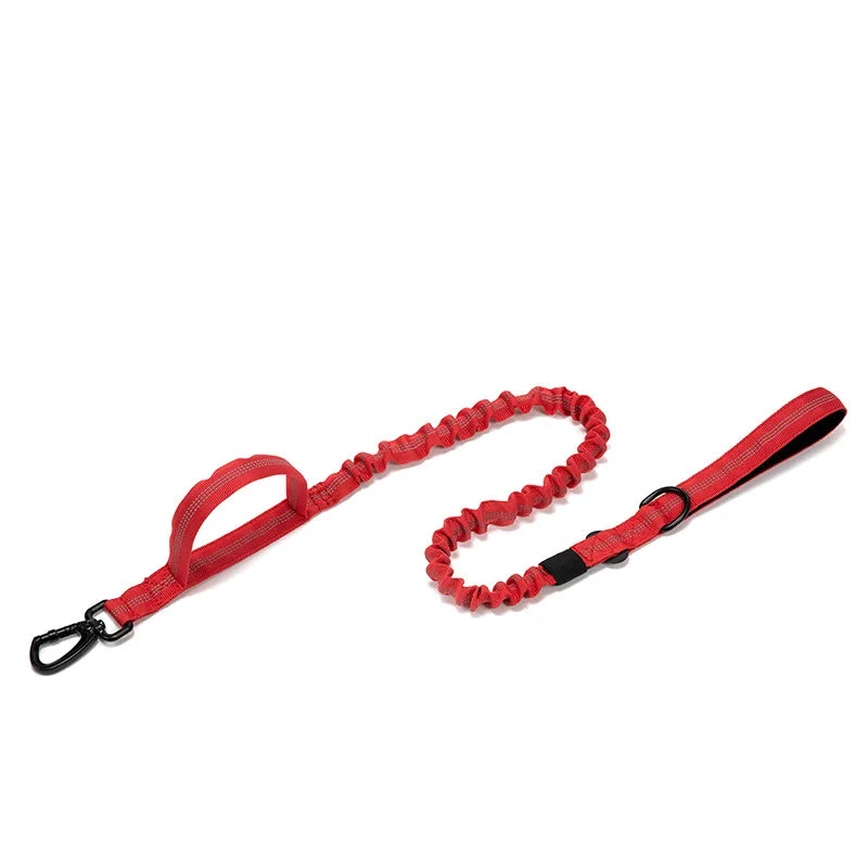 Durable Nylon Dog Collar and Reflective Leash Set