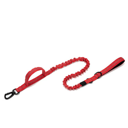 Durable Nylon Dog Collar and Reflective Leash Set