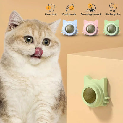 Catnip Lollipop Treat for Dental Care and Fresh Breath
