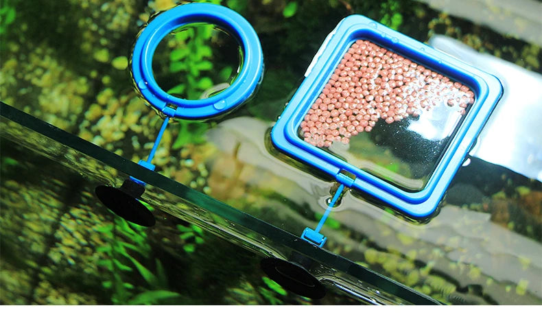 Portable Fish Feeding Ring with Suction Cups for Aquariums