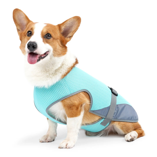 Adjustable Cooling Vest for Dogs - Lightweight & Reflective