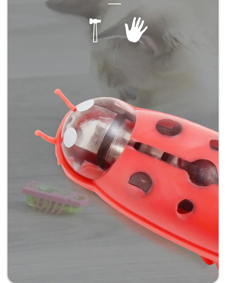 Interactive Ladybug Cat Toy - Mini Electric Pet Bug