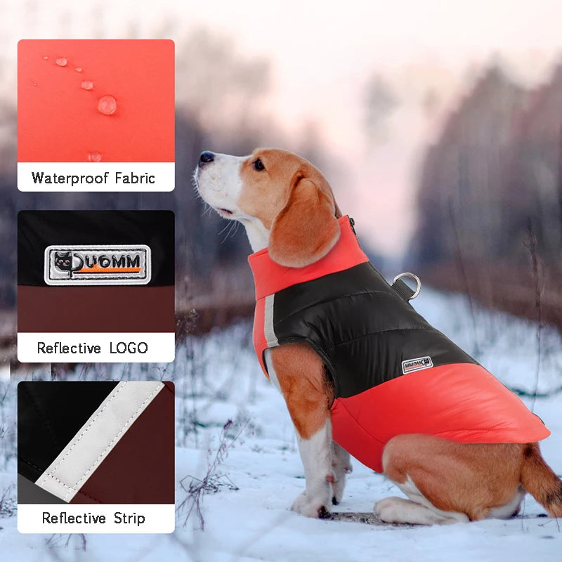 Waterproof Winter Dog Jacket for Small & Large Dogs