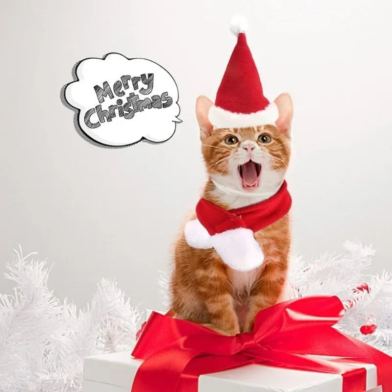 Pet Christmas Hat and Scarf Set for Cats and Small Dogs
