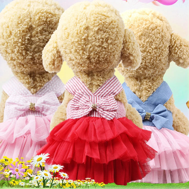 Lace Skirt Dress for Dogs and Cats - Summer Pet Apparel