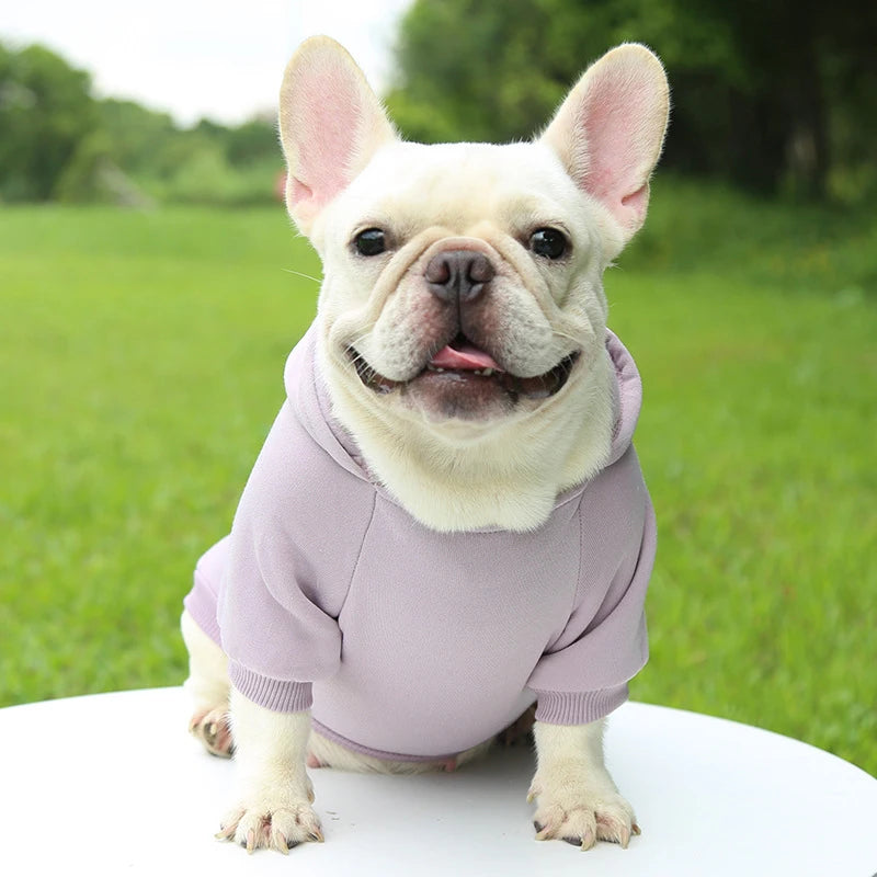 Warm Hooded Sweater for Small Dogs - Autumn & Winter Wear