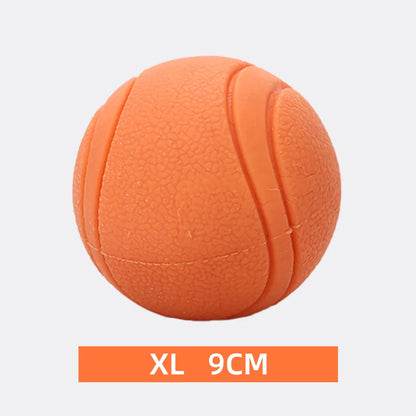 Bite-Resistant Rubber Dog Ball Toy for Puppies and Dogs