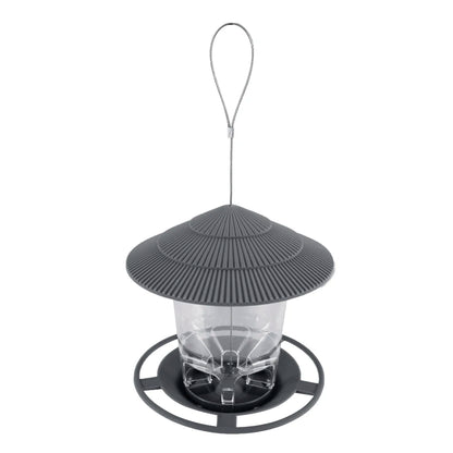Transparent Window Bird Feeder for Nuts and Seeds