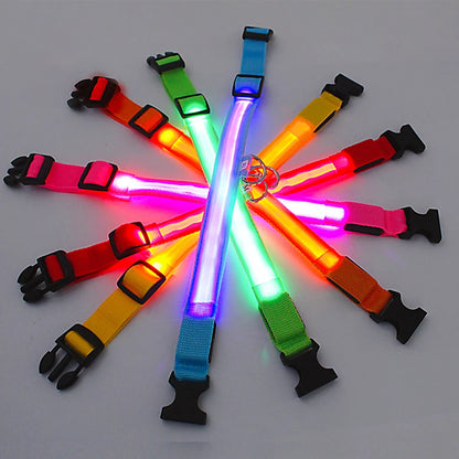 LED Glowing USB Rechargeable Pet Safety Collar for Dogs and Cats