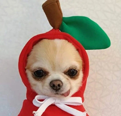 Funny Dog Hoodie Costume with Hat for Pets
