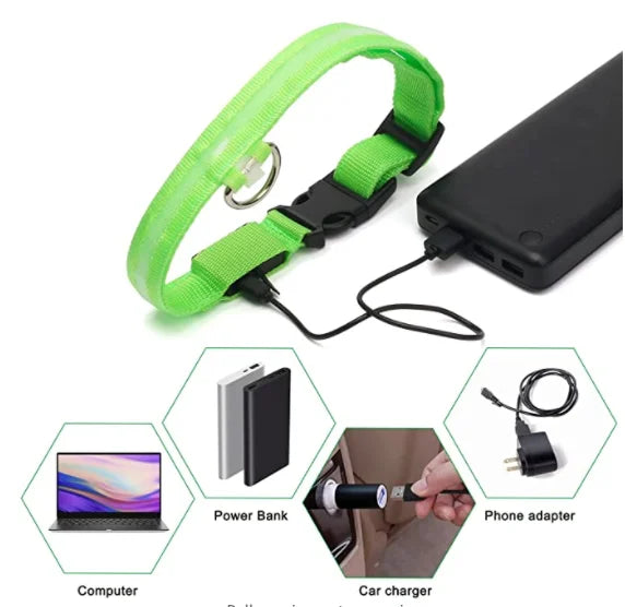 LED Light-Up Dog Collar for Night Safety - USB Rechargeable
