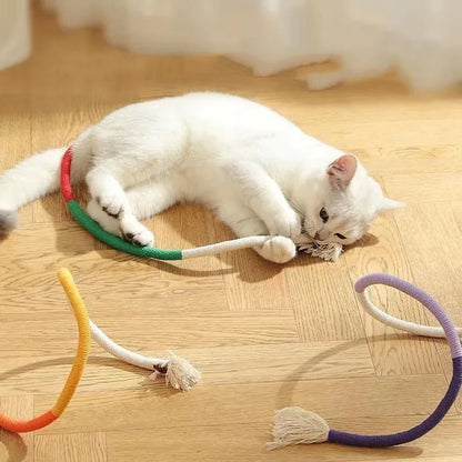 Chew-Resistant Cat Teaser Toys for Kittens and Playtime