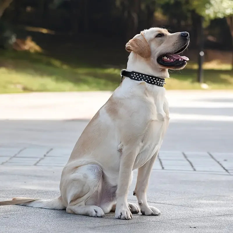 Spiked Leather Dog Collar and Leash Set for Walking
