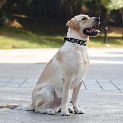 Spiked Leather Dog Collar and Leash Set for Walking