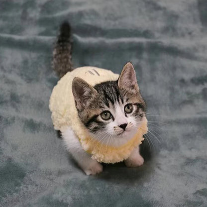 Warm Velvet Sweater for Small Pets and Kittens