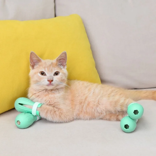 Adjustable Anti-Scratch Cat Bath Shoes for Nail Protection