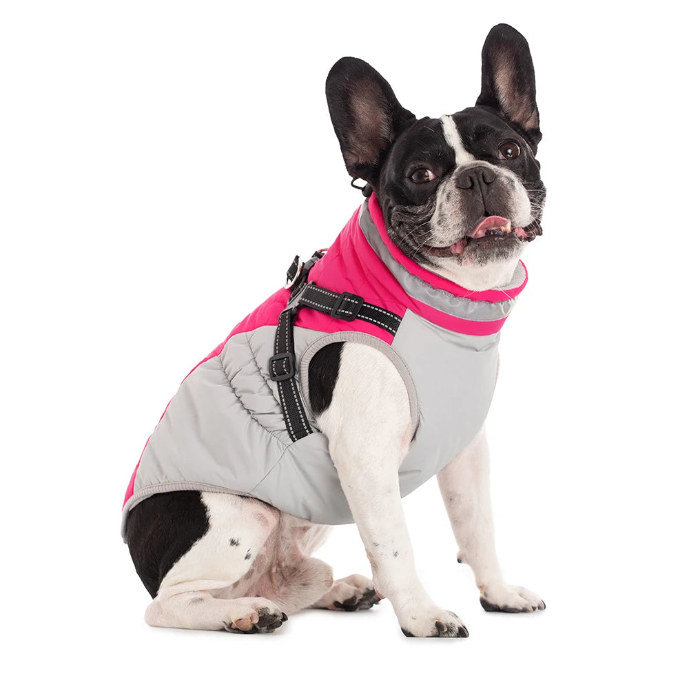 Waterproof Winter Dog Jacket with Harness for Small to Large Breeds