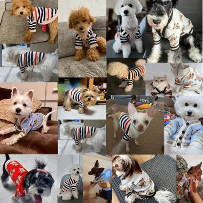 Striped Cardigan Sweater for Small Dogs and Cats