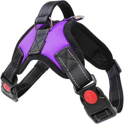 Adjustable Dog Harness and Leash Set for Small to Medium Dogs