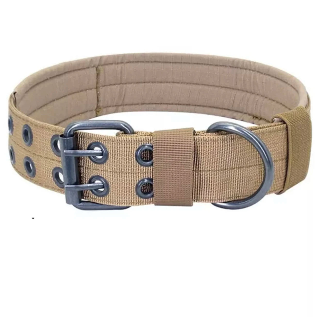 Reflective Heavy-Duty Nylon Dog Collar for Training
