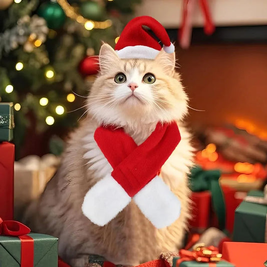 Pet Christmas Hat and Scarf Set for Cats and Small Dogs