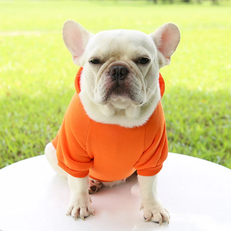 Warm Hooded Sweater for Small Dogs - Autumn & Winter Wear