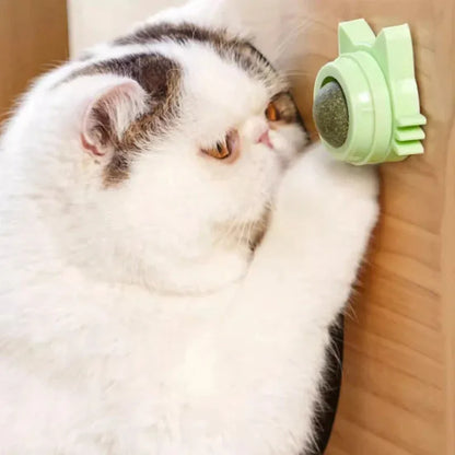 Catnip Lollipop Treat for Dental Care and Fresh Breath
