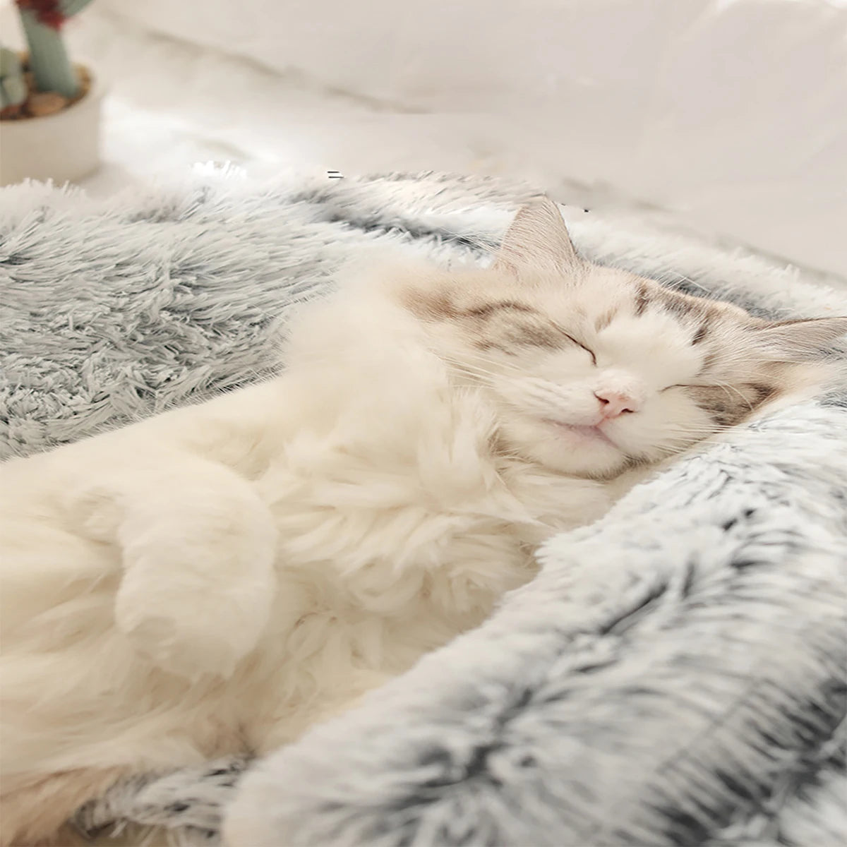 Fluffy Hooded Pet Bed for Cats and Small Dogs