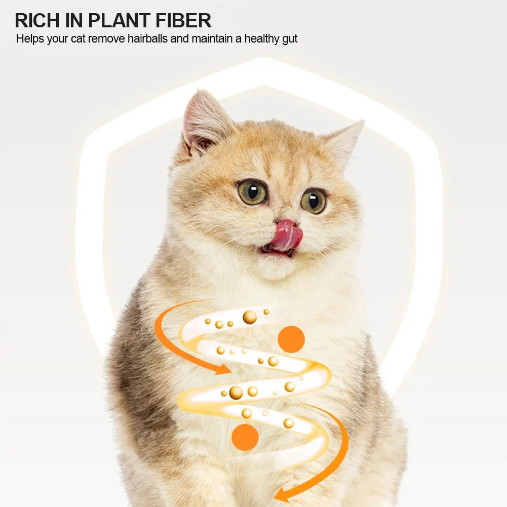 Catnip Lollipop Treat for Dental Care and Fresh Breath