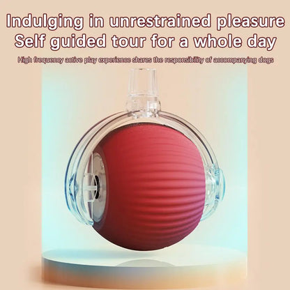 Rechargeable Interactive Cat Ball Toy with Faux Tail