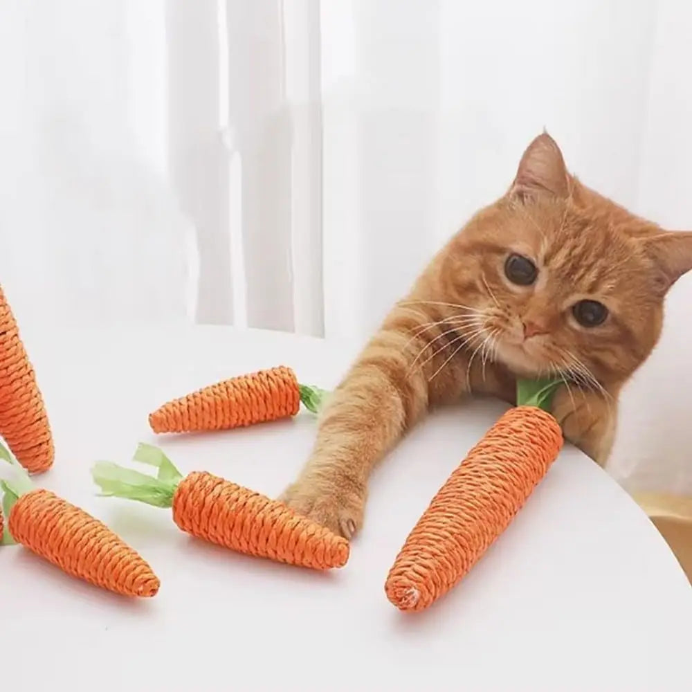 Carrot Teething Sticks for Cats - Bite & Scratch Resistant