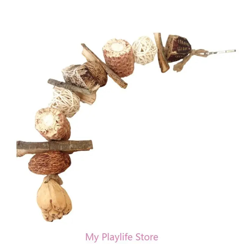 Colorful Parrot Beak Grinding Toy for Health and Fun