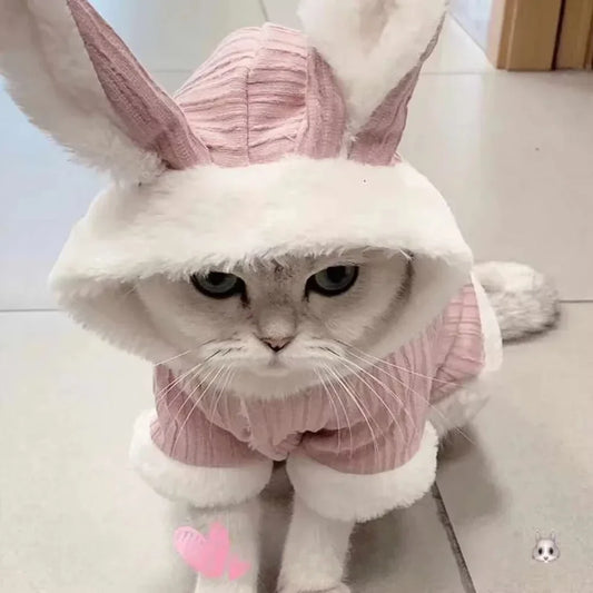 Pet Warm Clothes for Cats and Small Dogs - Autumn Winter Wear