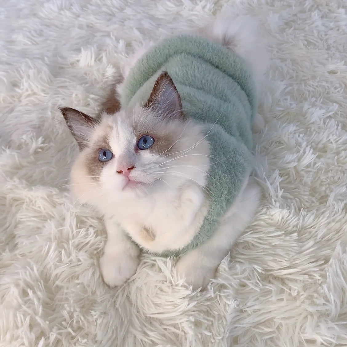 Cozy Winter Clothes for Small Cats and Dogs