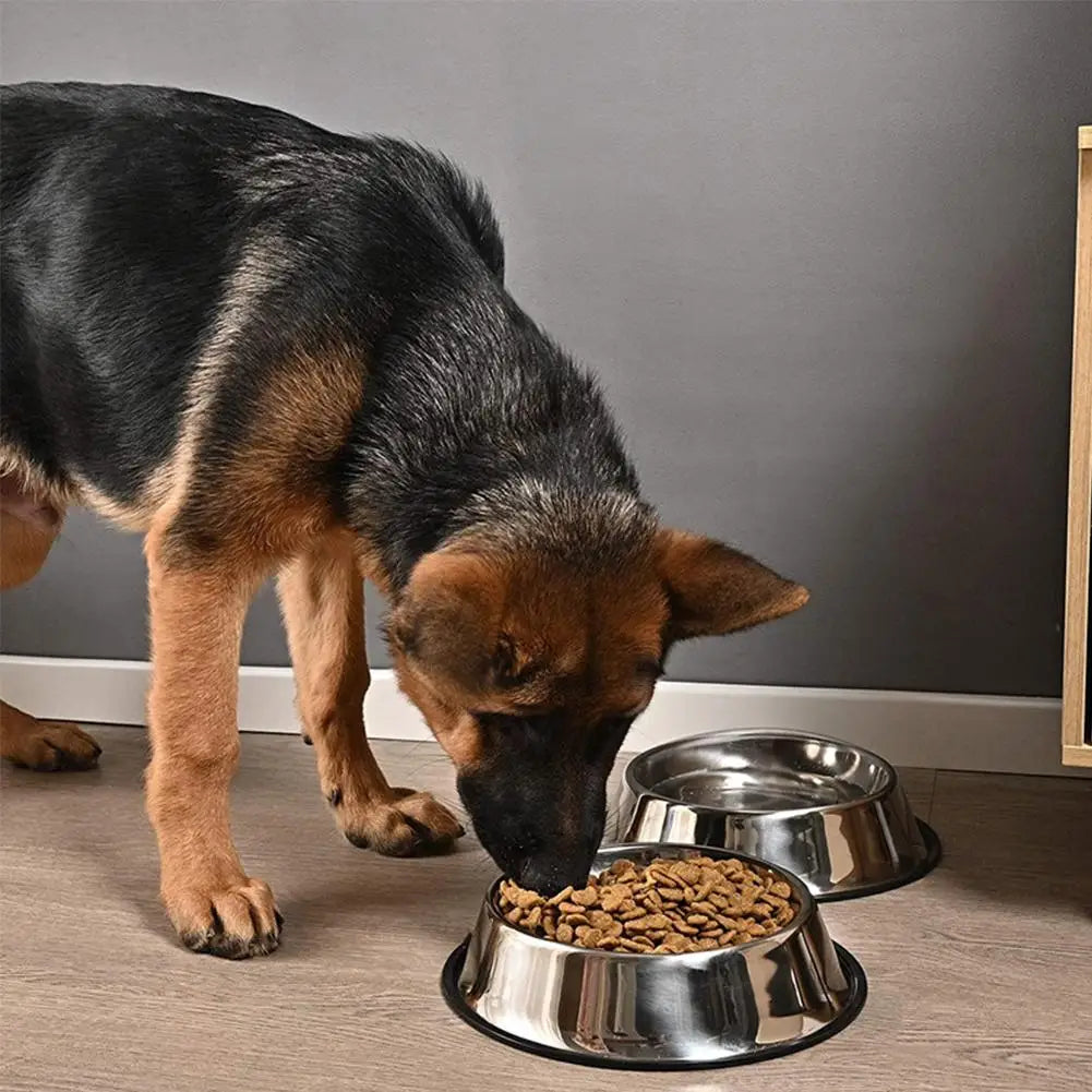 Large Steel Pet Feeding Bowl for Cats and Dogs