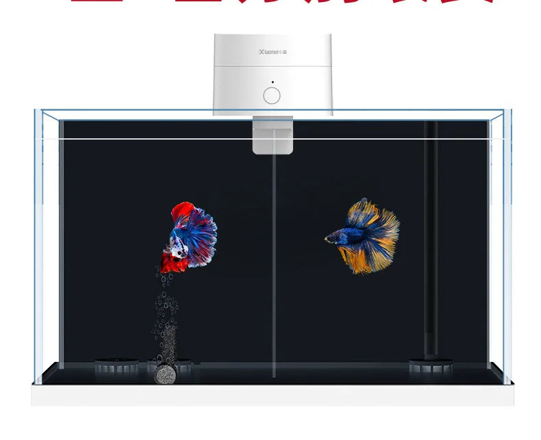 Timed Fish Feeder for Small Tanks - Clog-Free Design