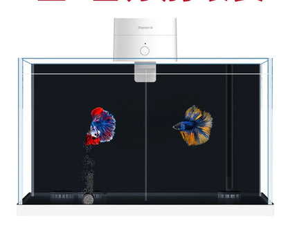 Timed Fish Feeder for Small Tanks - Clog-Free Design