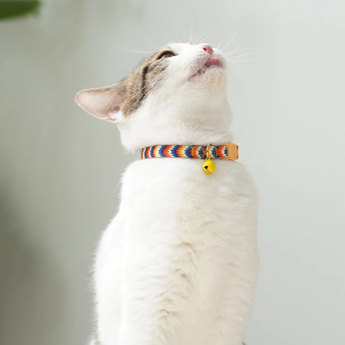 Adjustable Soft Nylon Cat Collar with Small Bell 15-30cm