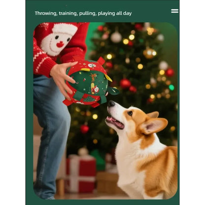 Interactive Dog Toy Balls with Squeaker for Chewing Fun