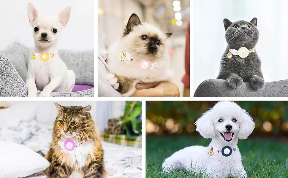Breakaway Cat Collar with Silicone Airtag Holder & Charms