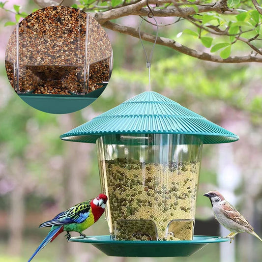 Transparent Window Bird Feeder for Nuts and Seeds
