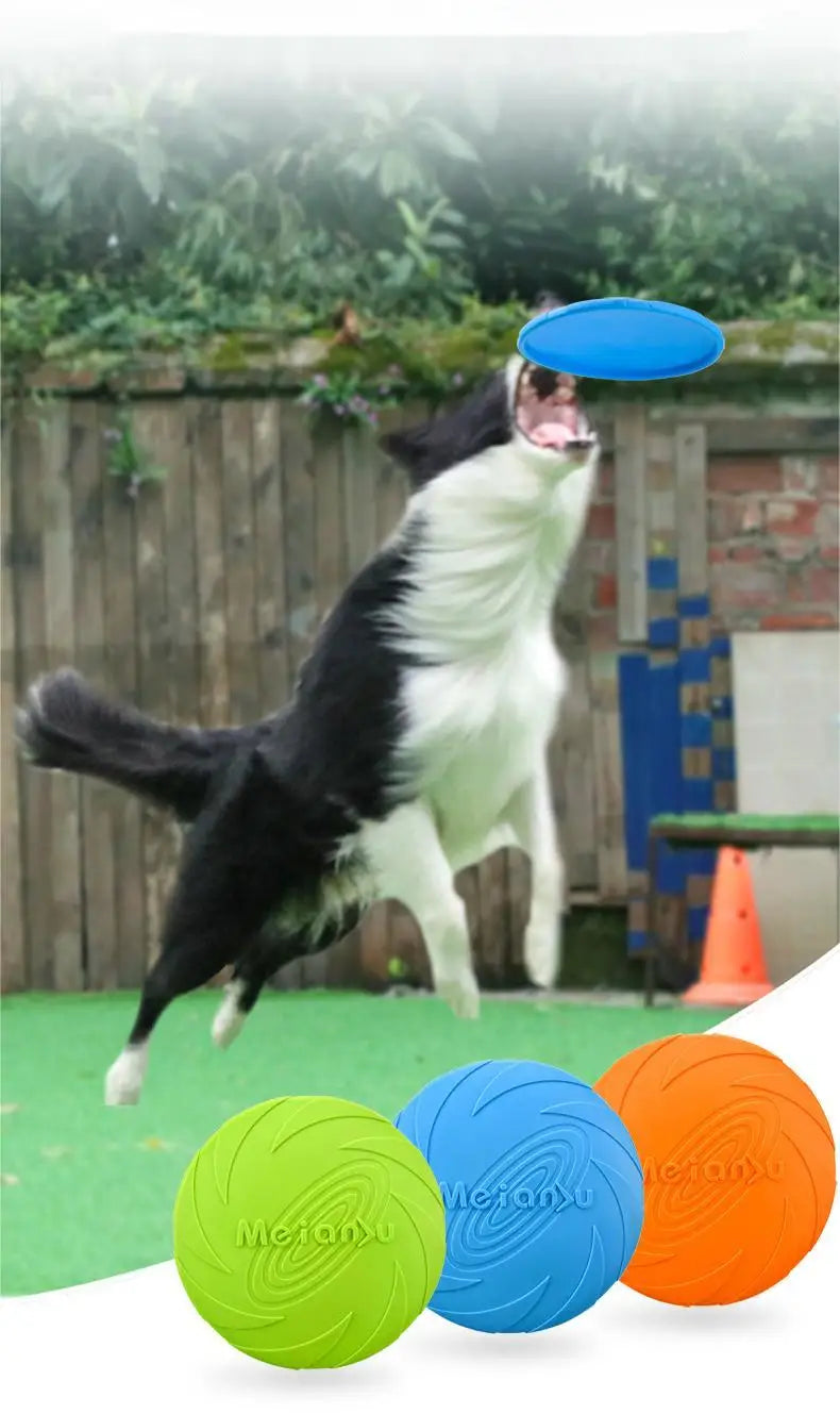 Bite-Resistant Flying Disc for Dog Training and Play