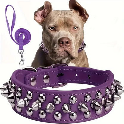 Spiked Leather Dog Collar and Leash Set for Walking