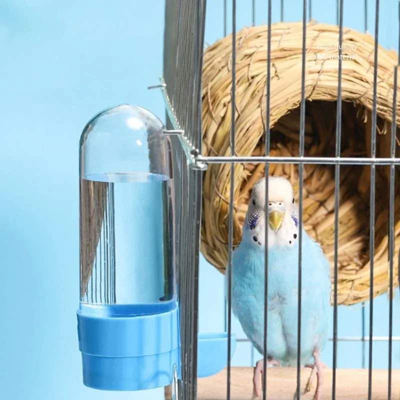 Hanging Water and Food Dispenser for Birds and Squirrels