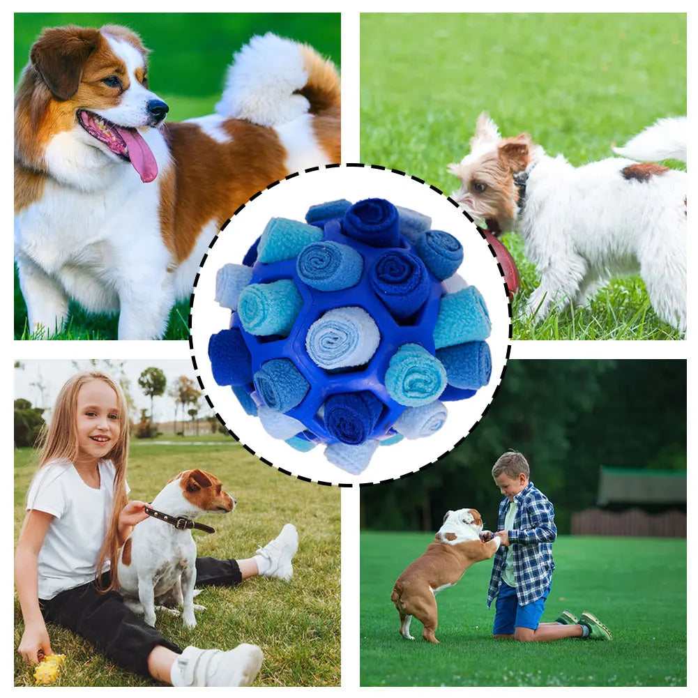 Sniffing Ball for Dogs - Chew and Training Toy
