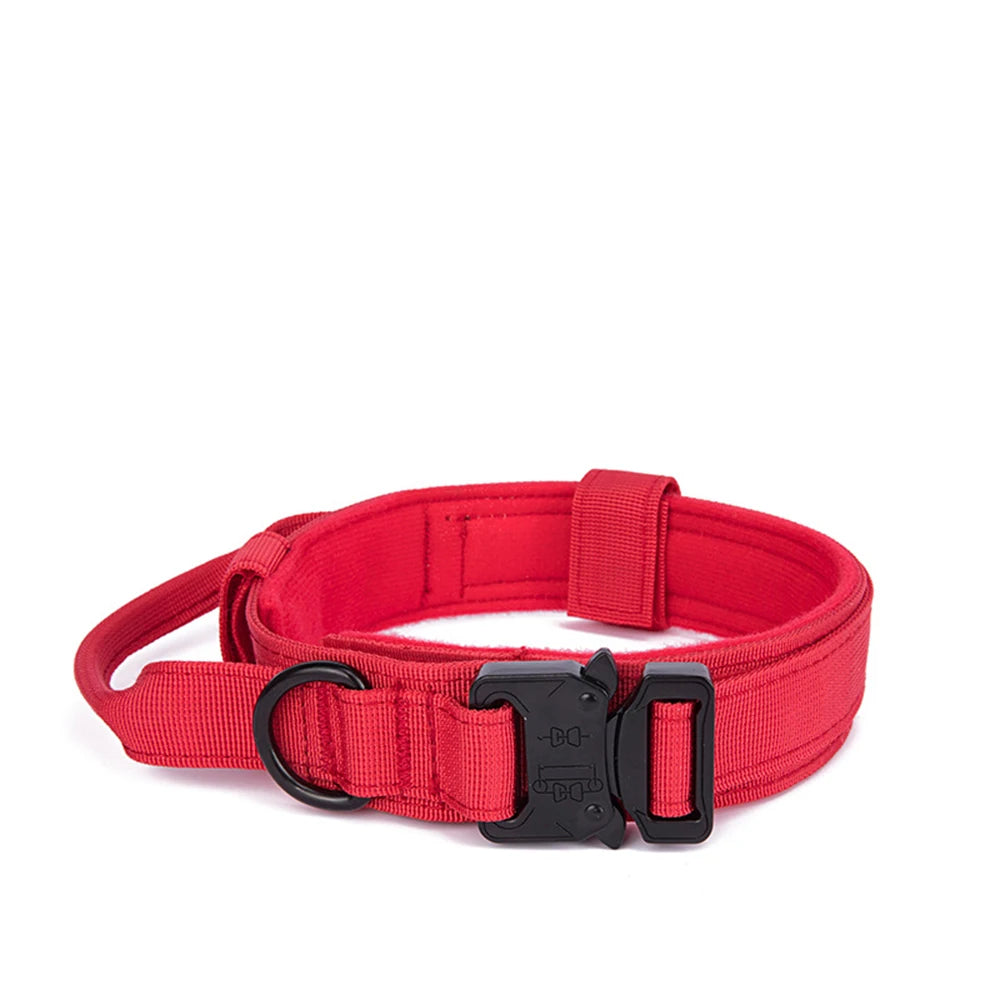 Durable Nylon Dog Collar and Reflective Leash Set